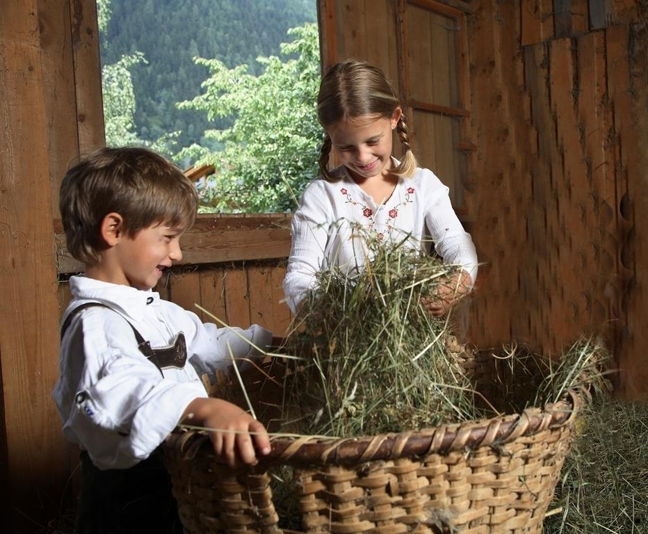 Appartements Michaela Neustift im Stubaital Exterior foto